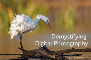 Demystifying Digital Photography: An Introduction @ Art in the Valley