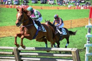 Old Dominion Hounds Point-to-Point steeplechase races @ Ben Venue Farm