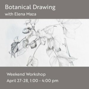 Botanical Drawing Workshop @ Art in the Valley